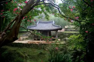 韓国旅行が安い時期はこの時だ ベストシーズンや避ける時期も紹介